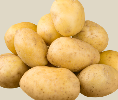 Potato