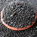 Black Gram (Urad)
