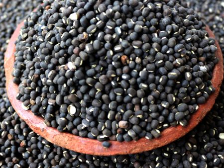 Black Gram (Urad)