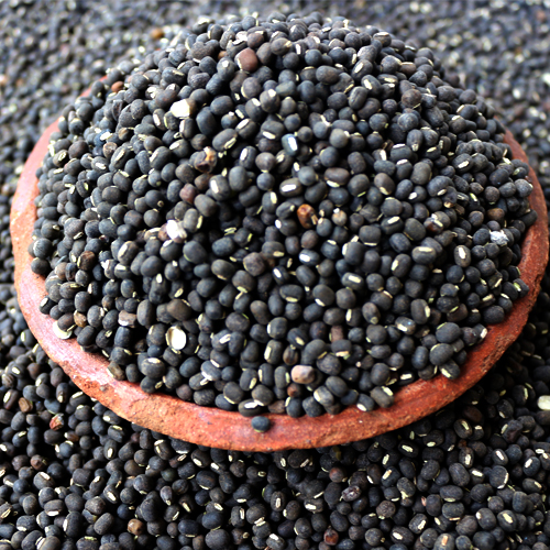 Black Gram (Urad)