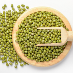 Mung Beans Exporter from India