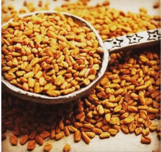 Fenugreek Seeds Exporter From India