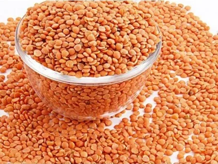 Lentils (Masoor)