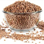 Lentils exporter