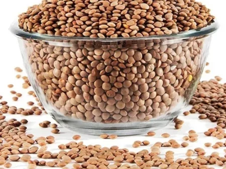 Lentils exporter