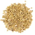 Coriander Seeds