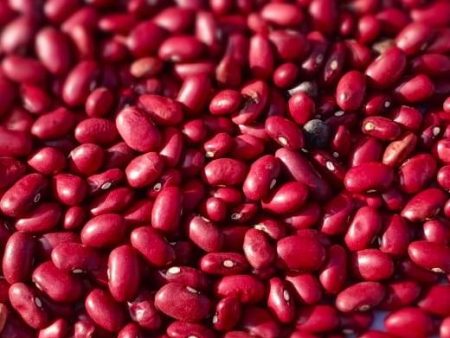 Kidney Beans exporter