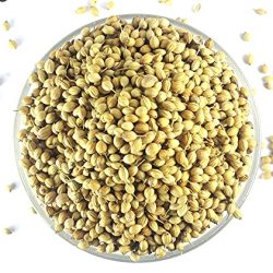 Coriander Seeds