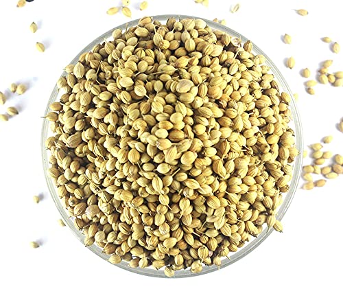 Coriander Seeds